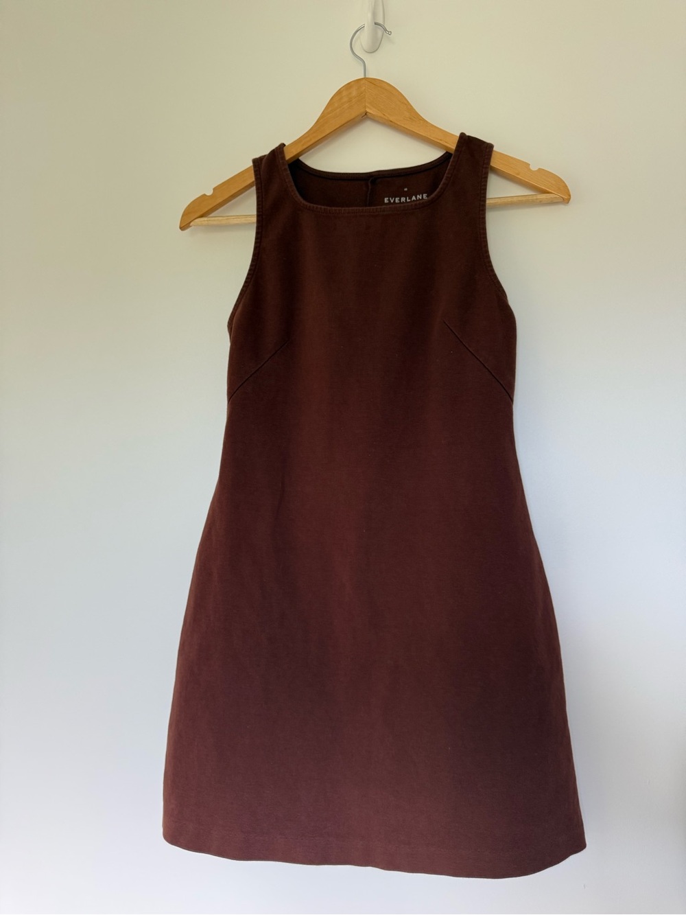 Everlane Chocolate Brown Sleeveless Mini Shift Dress